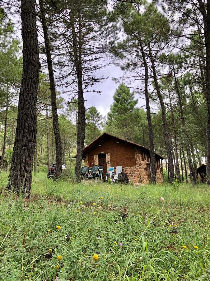Casa Rural Campanilla Риопар Экстерьер фото